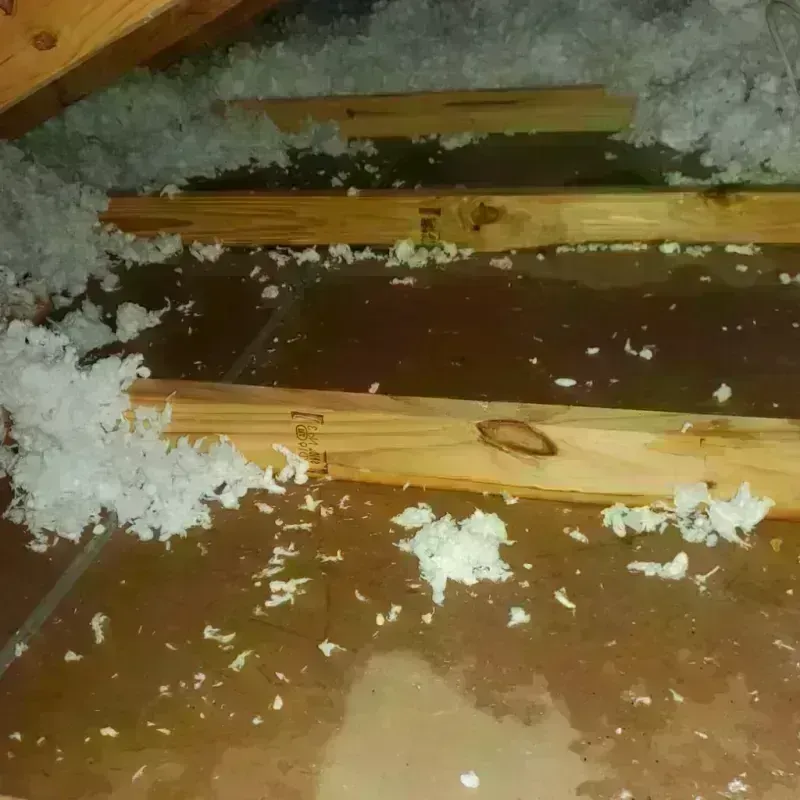 Attic Water Damage in Thurston County, NE